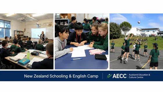 뉴질랜드 AECC Schooling & English Camp 프로그램 소개 사진 2